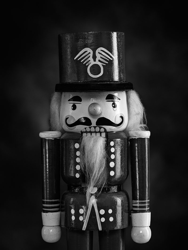 On the twenty-third of May 2012, the nutcrackers cried. That was the day my sister died.